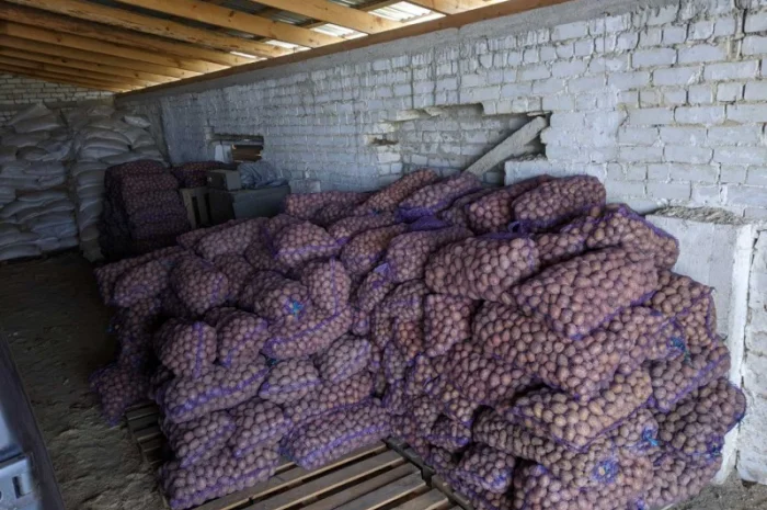 Продается семенной картофель по 4.50 грн/кг- фото № 3