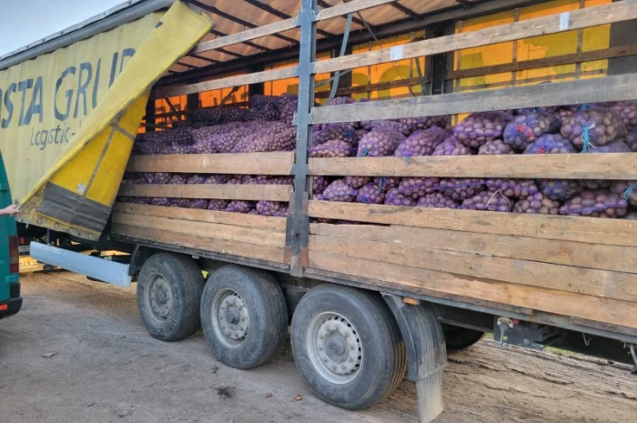 Продается семенной картофель по 4.50 грн/кг- фото № 4