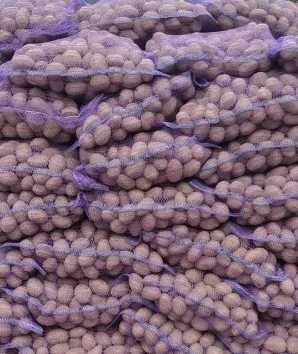 Продается семенной картофель сорта Бела Росса- фото № 1