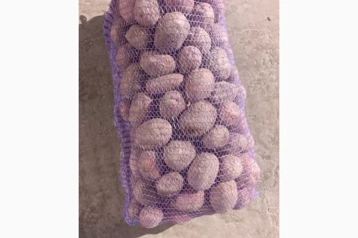 Продажа качественной товарной картошки- фото № 1