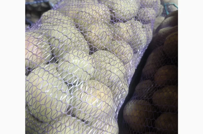 Продажа качественной товарной картошки- фото № 2