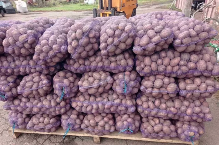 Продается товарная картошка оптом- фото № 1