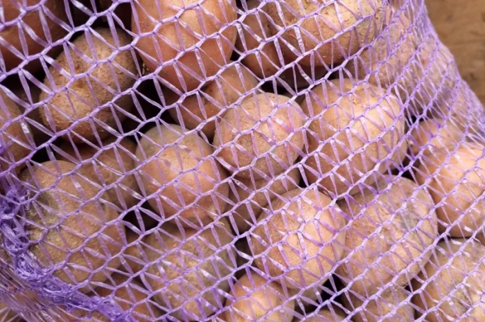 Пропонується насіннєва картопля сорт Рівєра та Арізона Есмі- фото № 3