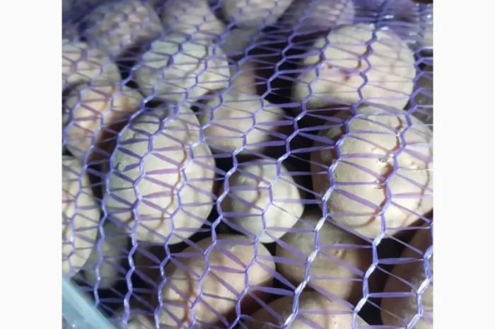 Пропонується насіннєва картопля сорт Рівєра та Арізона Есмі- фото № 6