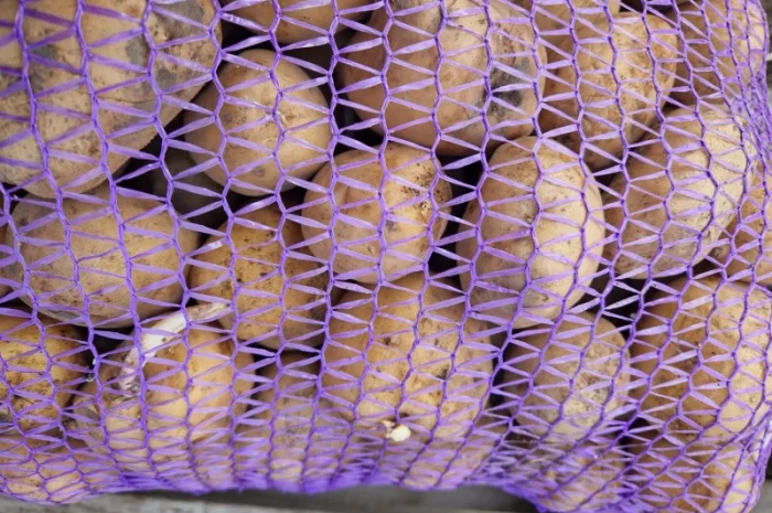 Пропонується насіннєва картопля сорт Рівєра та Арізона Есмі- фото № 7