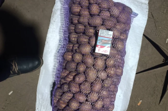 Продажа качественной посадочной картошки- фото № 3