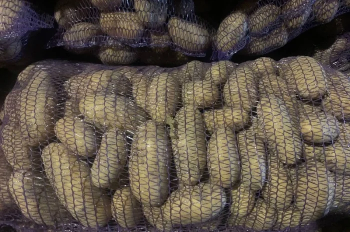 Продается картофель сорт Гренада, Каллет, Беларосса- фото № 2