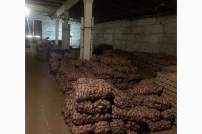 Продается картофель сорт Гренада, Каллет, Беларосса- фото № 3