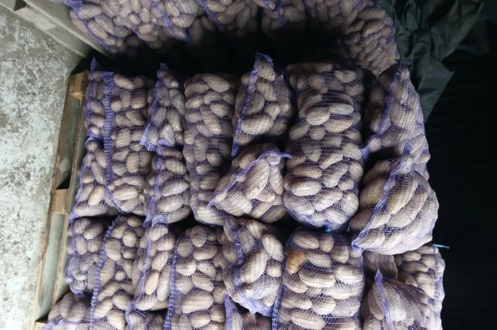 Продается товарная и семенная картошка- фото № 2