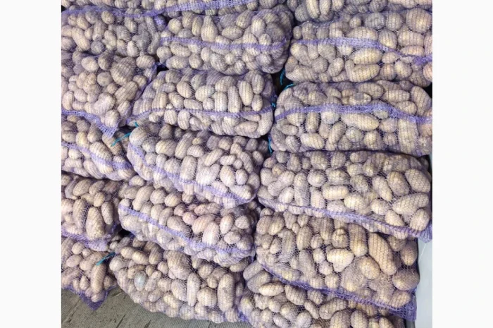 Продается семенной картофель сортов Гранада, Лабелла, Раномі II и III репродукции- фото № 2