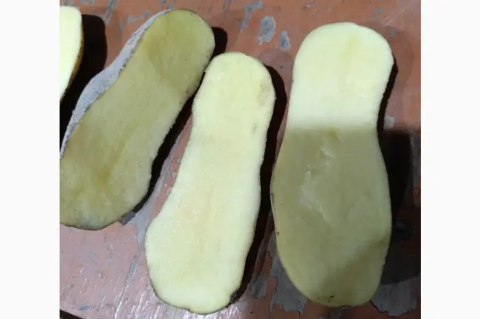 Продам семенной картофель Гранада ll - репродукции- фото № 3