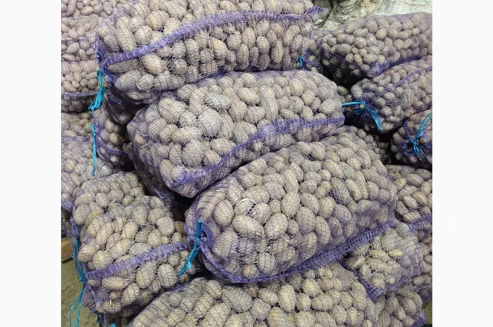 Продается семенной картофель сортов Гранада, Лабелла, Раномі II и III репродукции- фото № 4