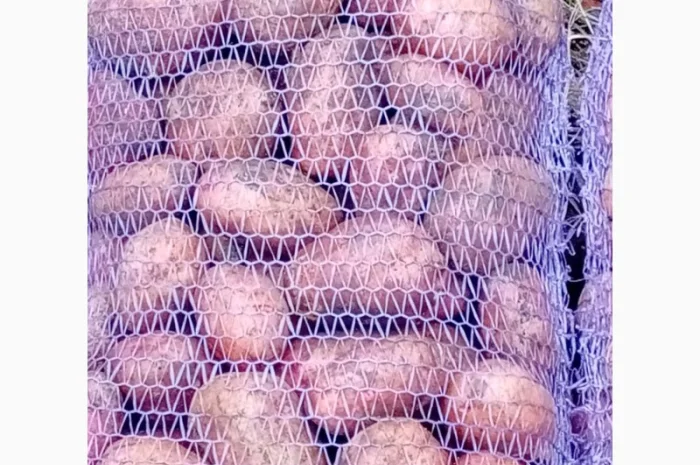 Продается качественная домашняя картошка- фото № 5