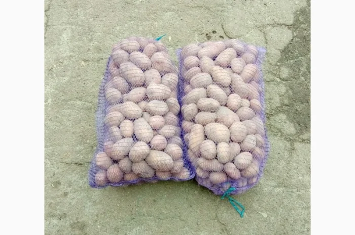 Продается качественная домашняя картошка- фото № 8