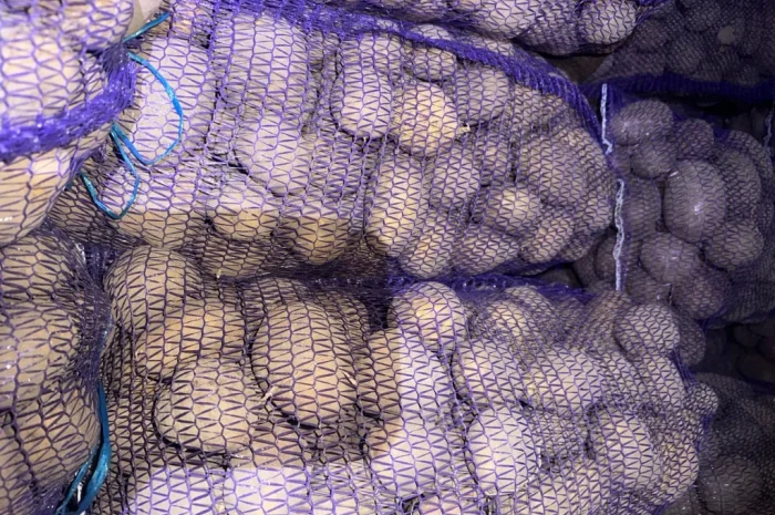 Пропонується картопля різних сортів- фото № 1