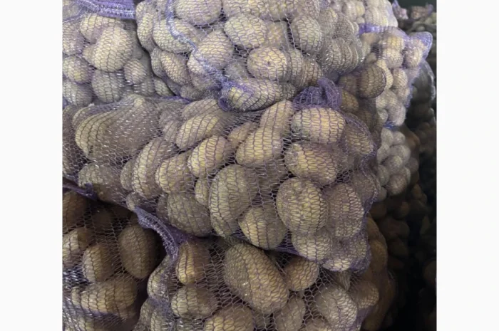 Продается товарная картошка сорта "Мелодия"- фото № 1