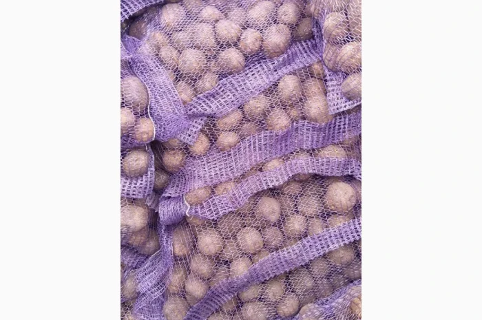 Пропоную насінневу картоплю Сюзана- фото № 2