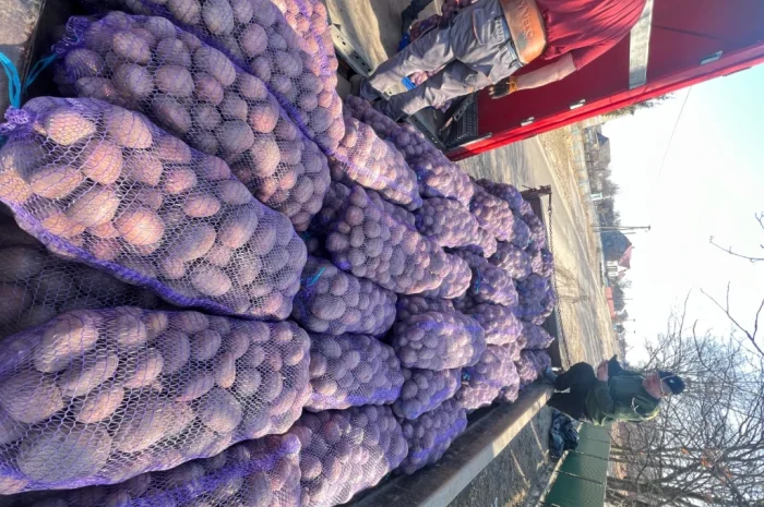 Продается картофель отличного качества- фото № 2