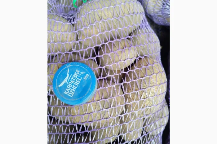 Пропоную картоплю сорту Агрія- фото № 3