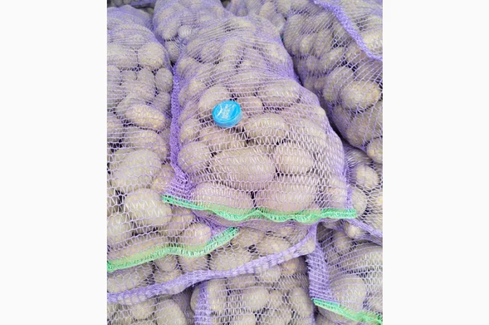 Пропоную картоплю сорту Агрія- фото № 4