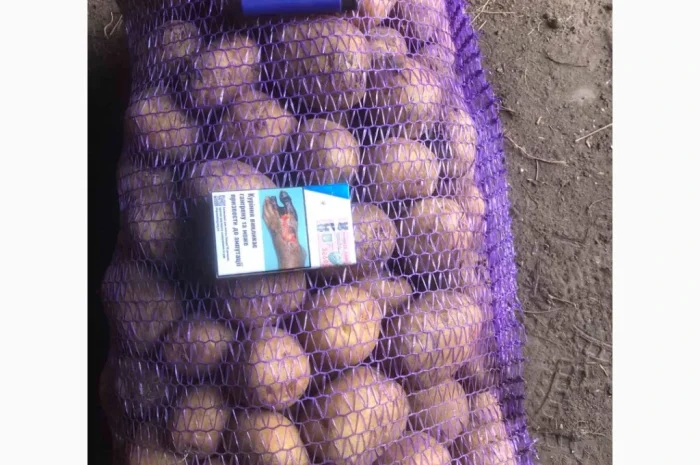 Продается товарный картофель- фото № 1