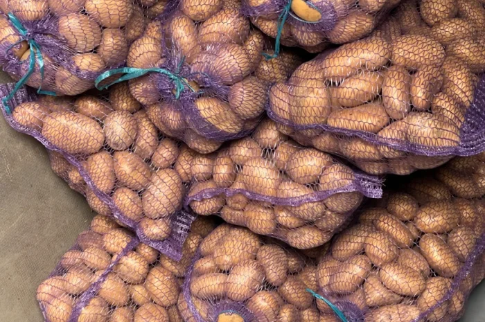 Продается товарная картошка белого и красного сортов- фото № 1