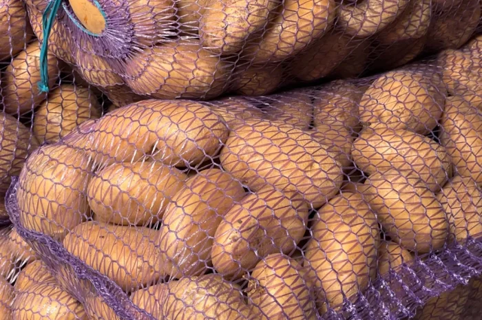 Продается товарная картошка белого и красного сортов- фото № 4