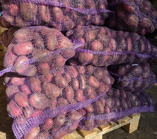 Продажа картофеля разных сортов- фото № 1