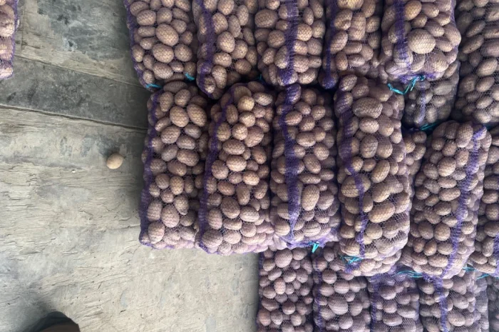 Продается качественная товарная картошка- фото № 1