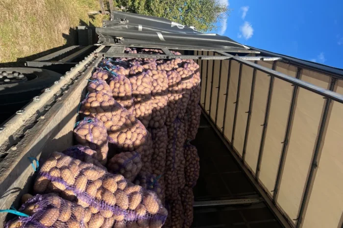 Продается качественная товарная картошка- фото № 4