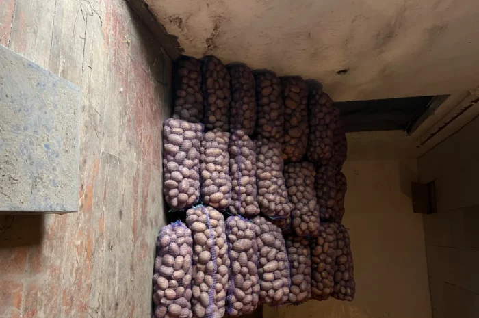 Продается крупная картошка- фото № 3