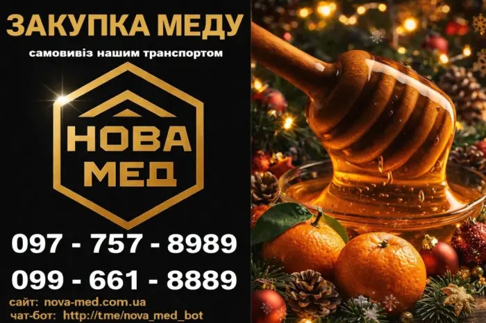 Закуповуємо мед із соняшника по Дніпропетровській та СУСІДНІХ ОБЛ. від 500 кг- фото № 1