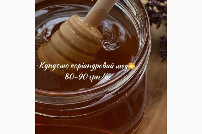 Куплю кориандровый мед 80-90 грн/кг- фото № 1