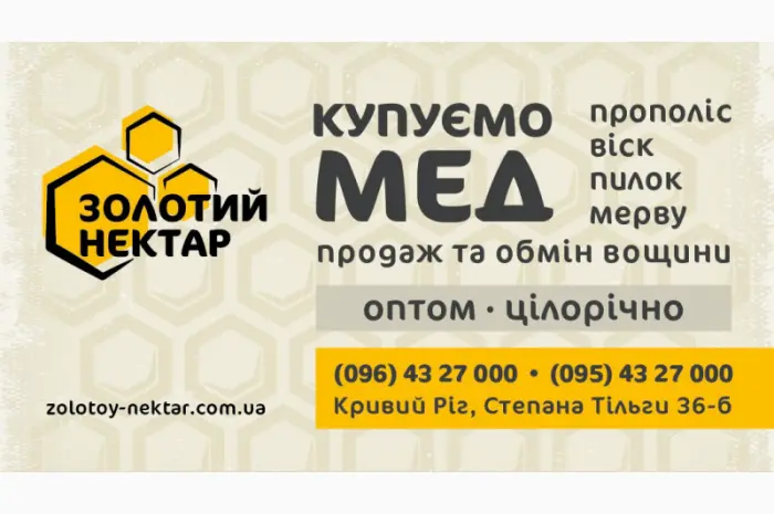 Закупівля Мед Гречки (ціна до 150 грн/кг)- фото № 1