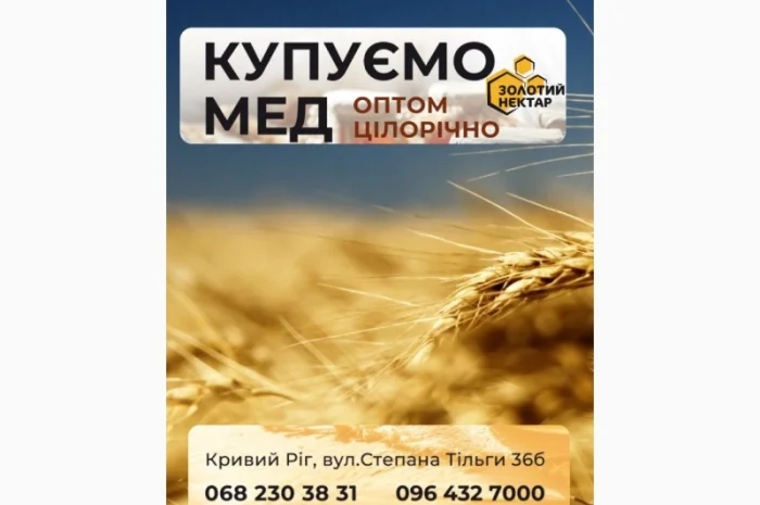 Закупаем мед Растительный сбор-2025- фото № 1