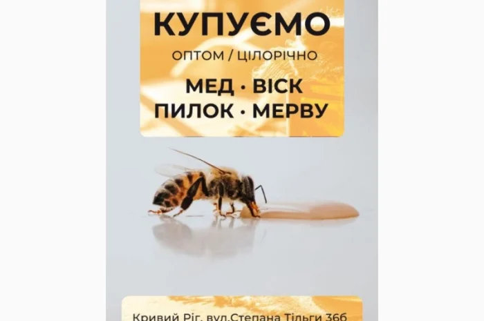 Купуємо мед від 500 кг у Дніпрі- фото № 1