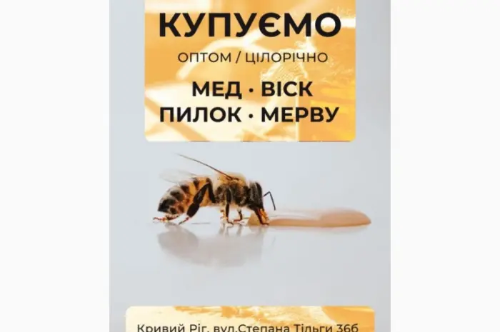 Купуємо мед від 500кг Сумська- фото № 1