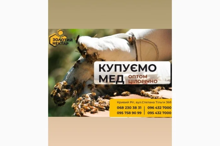 Купим гречишный мед оптом- фото № 1