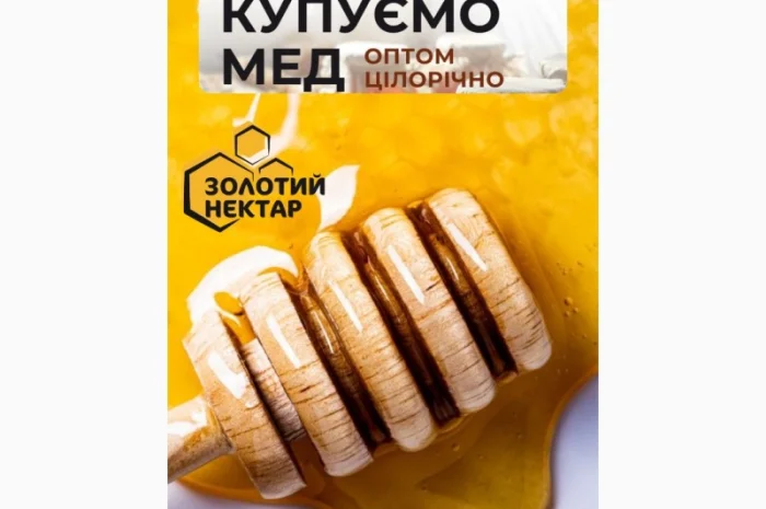 Купуємо липовий мед оптом- фото № 1
