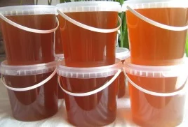 Мед оптом – різноманітність сортів- фото № 2