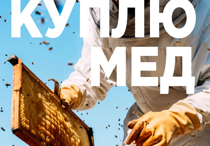 Куплю мед оптом в Виннице- фото № 2