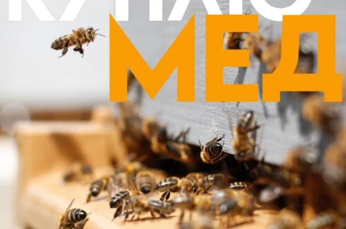 Куплю мед оптом в Виннице- фото № 1