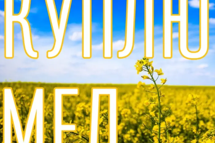 КУПЛЮ МЕД в Миколаївській області- фото № 1