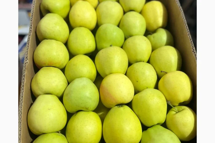 Продаются яблоки различных сортов- фото № 1