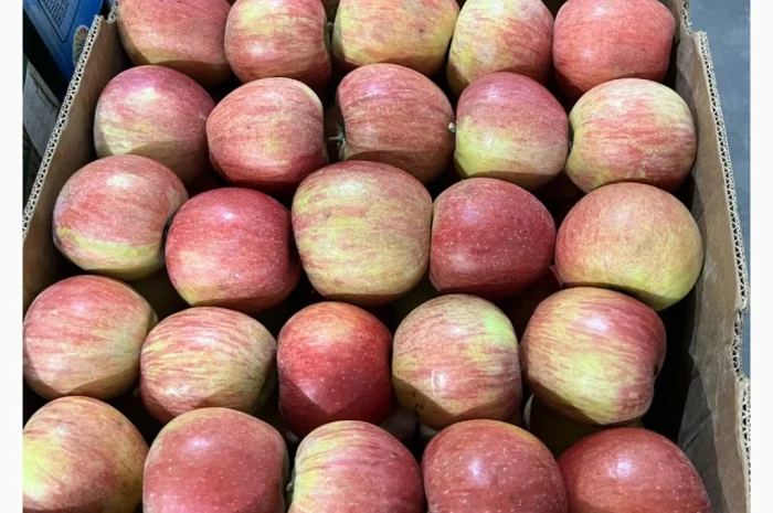 Продаются яблоки различных сортов- фото № 2