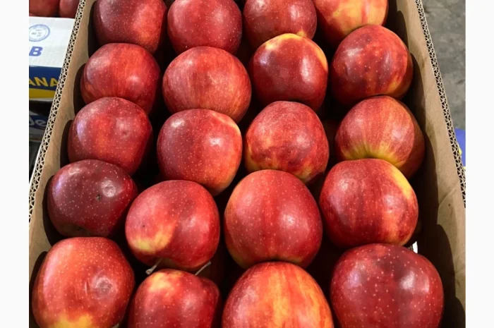 Продаются яблоки различных сортов- фото № 4