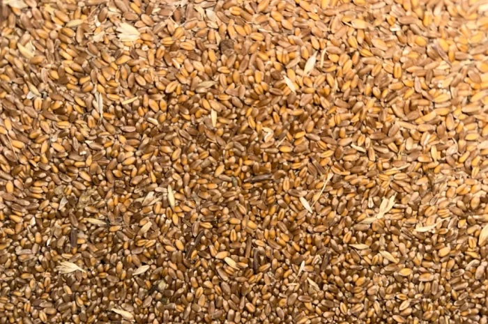 Продается пшеница 4 класса- фото № 1