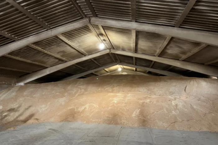 Продается пшеница 4 класса- фото № 3