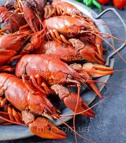 Продаються варені раки з доставкою- фото № 2