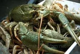 Продаються варені раки з доставкою- фото № 3